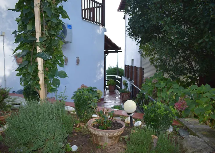 Alisaxni Seaside Studio